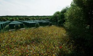 Earl Shilton View 8c 08thAug2022