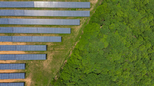 Solar Farming at Exagen