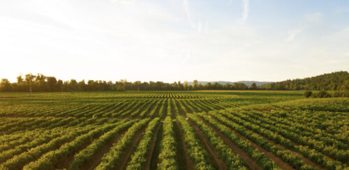 We Featured in Energy Global – News Article860x420