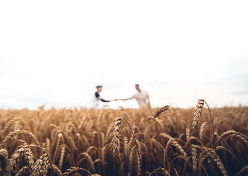 Screenshot 2023-02-17 at 14.08.56