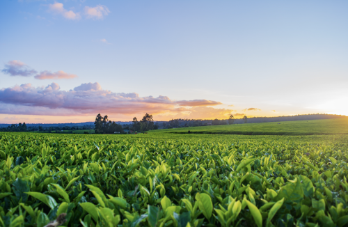 Screenshot 2023-02-21 at 13.37.15