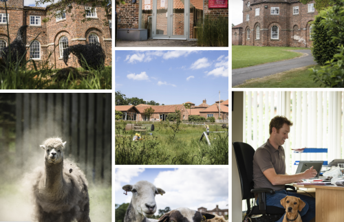 Screenshot 2023-03-21 at 09.01.26