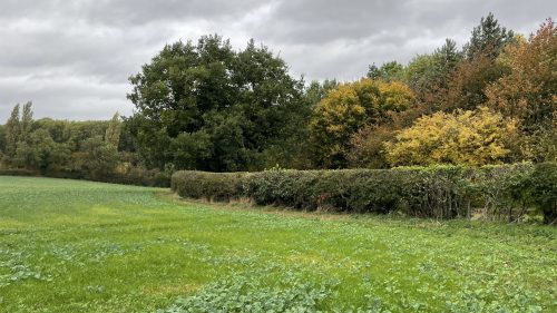 CoverImage-1920×1080